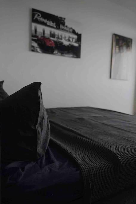 Luftiges Apartment Im Herzen Von Dresden Eksteriør billede