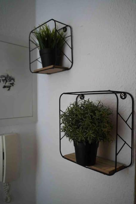 Luftiges Apartment Im Herzen Von Dresden Eksteriør billede
