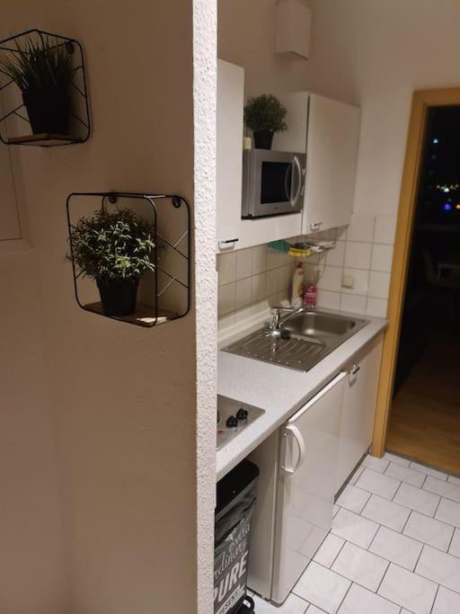 Luftiges Apartment Im Herzen Von Dresden Eksteriør billede